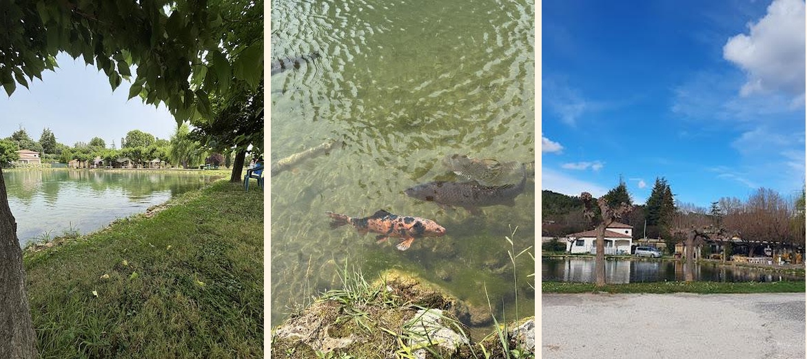 L Auberge Du Lac - Menu Image 3